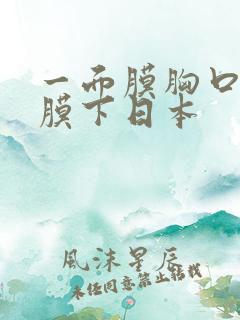 一面膜胸口一面膜下日本