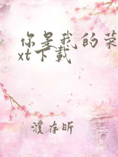 你是我的荣耀txt下载