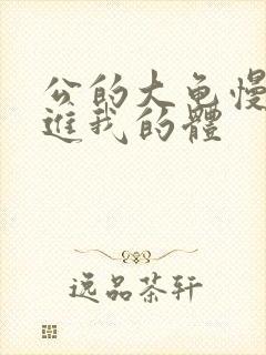 公的大龟慢慢挺进我的体