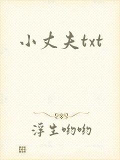 小丈夫txt