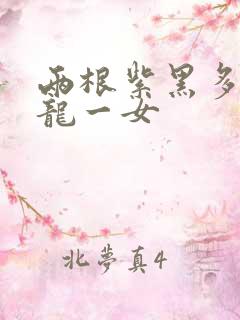 两根紫黑多男双龙一女