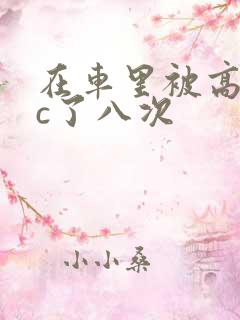 在车里被高潮被c了八次