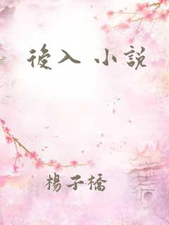 后入 小说