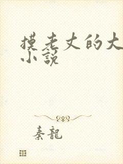 摸老丈的大牛子小说