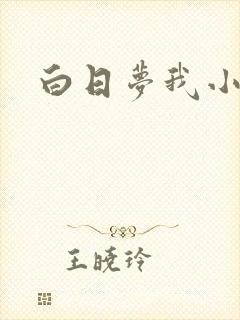白日梦我小说