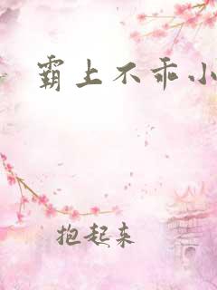霸上不乖小逃妻