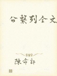 公系列全文阅读