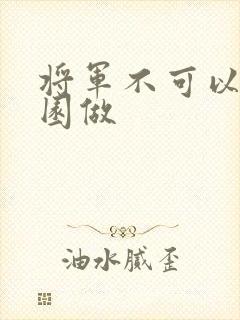 将军不可以在花园做