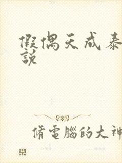 假偶天成泰国小说