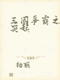 三国争霸之异军突起