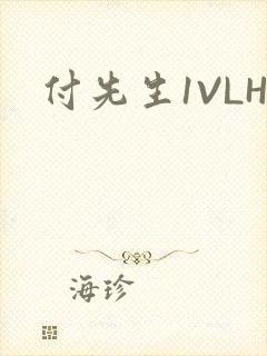 付先生1VLH