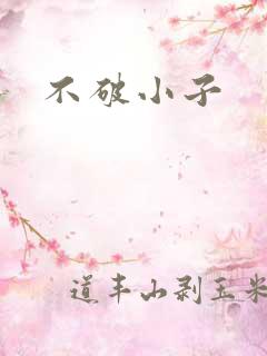 不破小子