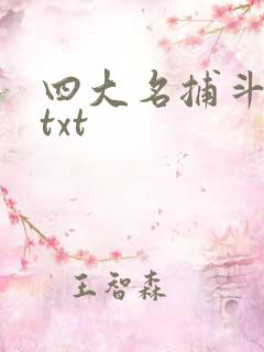 四大名捕斗将军txt