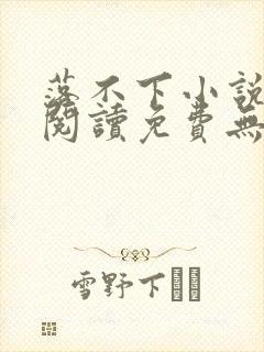 落不下小说全文阅读免费无弹窗