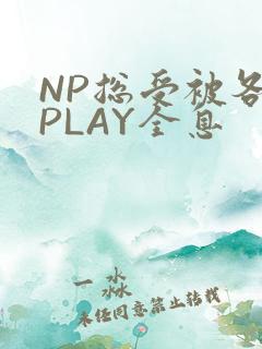NP总受被各种PLAY全息