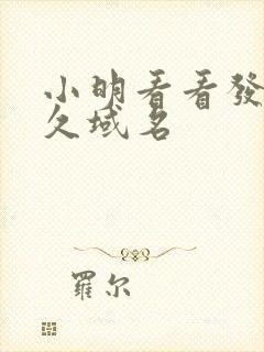 小明看看发布永久域名