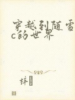 穿越到随处可以c的世界