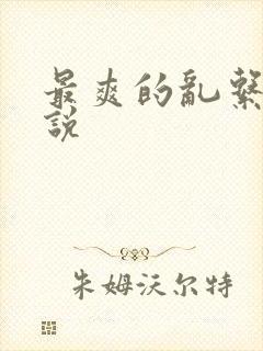 最爽的乱系列小说