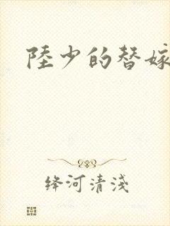 陆少的替嫁宠妻