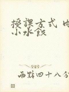 授课方式 肉馅小水饺