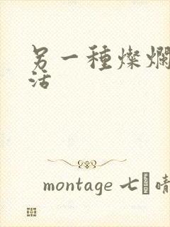 另一种灿烂的生活