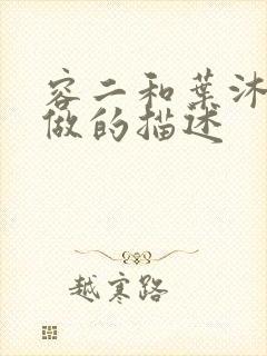 容二和叶沐走着做的描述