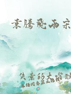 袁腾飞两宋风云