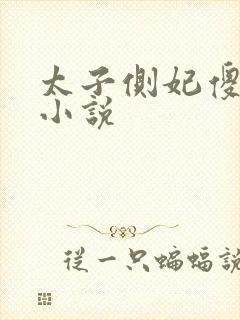 太子侧妃傻乎乎小说