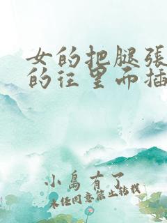 女的把腿张开男的往里面插