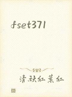 fset371