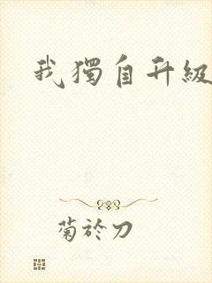 我独自升级小说