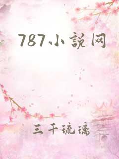 787小说网