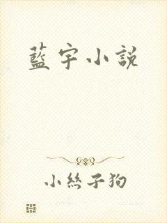 蓝宇小说