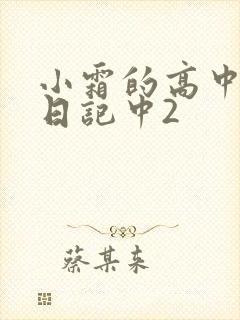 小霜的高中成长日记中2