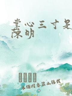 掌心三寸是人间陈明