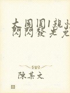 大团圆1亲情会闪闪发光免费