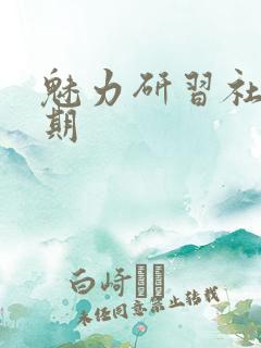 魅力研习社43期