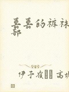 嘉嘉的裤袜第二部