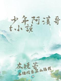 少年阿滨哥txt小说