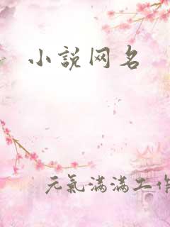小说网名