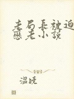 老局长被迫为奴恋老小说