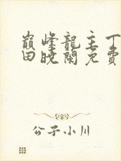 巅峰龙主丁长顺田晓兰免费阅读