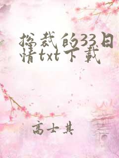总裁的33日索情txt下载