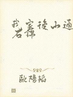 我家后山通仙界石锦