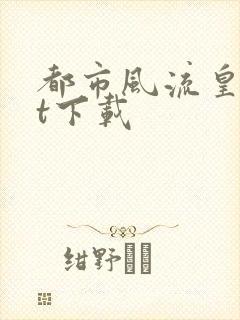 都市风流皇txt下载