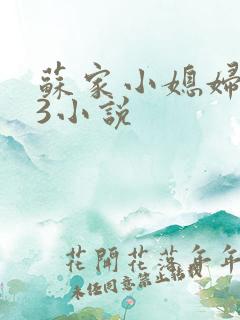 苏家小媳妇1V3小说