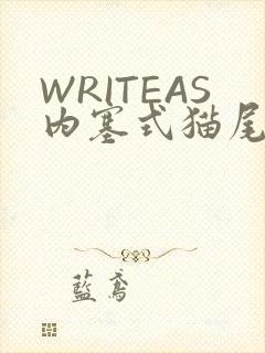 WRITEAS内塞式猫尾