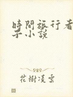 时间旅行者的妻子小说