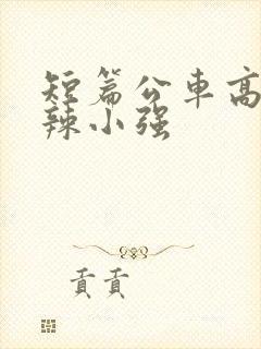 短篇公车高h肉辣小强