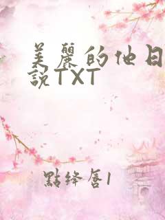 美丽的他日剧小说TXT